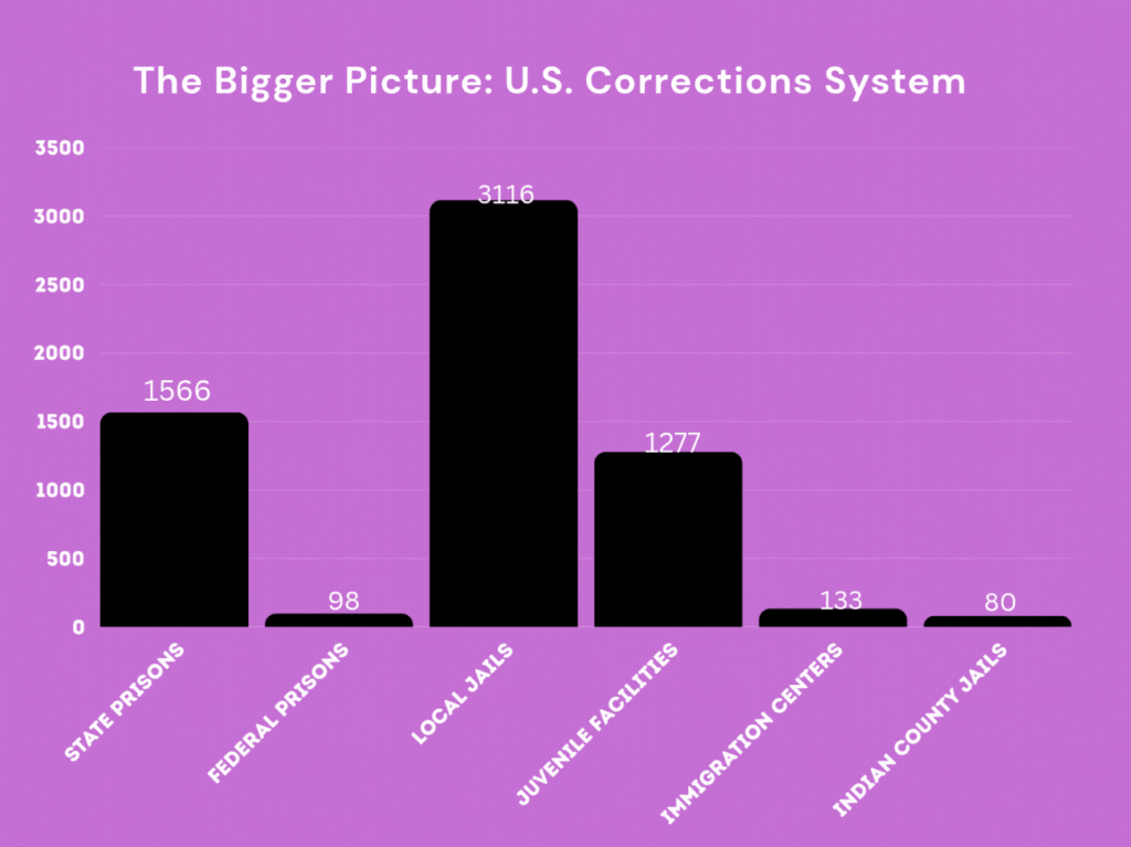The Bigger Picture: U.S. Corrections System